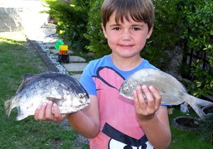 Kolstert vir 1ste vangs